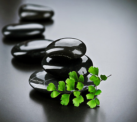 포토 JPG 해외이미지 꽃 백그라운드 컨셉 사람없음 쌓기 검은색 스파 조약돌 마사지 매끈함 해외202004 해외포토 식물 컬러 모션 돌_바위 감각 파일형식