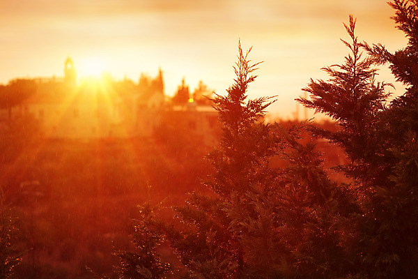 포토 JPG 해외이미지 나무 계절 여행 단풍 자연 하늘 휴가 주택 풍경 사람없음 야외 건물 초록색 여름 햇빛 태양 평화 마을 일출 환경 맑음 일몰 가을 시골 소나무 재산 저녁 숲 빌라 시골집 장면 전나무 교외 생태학 해외202004 해외포토 자연요소 식물 건축물 교육 컬러 컨셉 잎 날씨 금융 노을 야간 생태계 파일형식