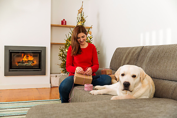 포토 JPG 해외이미지 나무 동물 백인 라이프스타일 계절 여자 행복 종이 컨셉 크리스마스 겨울 가족 탁자 주택 선물포장 선물 사랑 한명 사람 앉기 상반신 성인 장식 빨간색 반려동물 소파 우정 축하 개 래브라도리트리버 벽난로 이벤트의상 포장소품 성인여자한명만 해외202004 해외포토 서양인 식물 1 옷 기념일 감정 컬러 가구 의자 포장 포유류 관계 모션 건물 생활 친구 리트리버 오브젝트 포장재료 여자한명만 성인여자만 파일형식