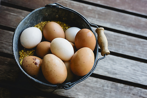 포토 JPG 해외이미지 음식 건강 사람없음 갈색 계란 신선 상품 양동이 유기농 날것 내추럴 해외202004 해외포토 웰빙 컬러 알 파일형식