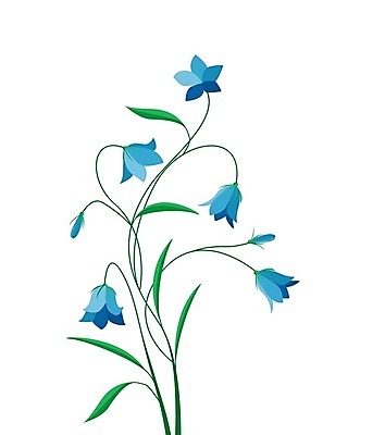 EPS 해외이미지 식물 디자인 계절 꽃 줄기 꽃다발 백그라운드 잎 꽃무늬 패턴 일러스트 자연 그래픽 장식 초록색 여름 파란색 봄 들꽃 벚꽃 종 흰색 나뭇가지 붓 화려 인쇄 그림 윤곽 초대 내추럴 고립 구성 블루벨 엘리먼트 캄파눌라 스타일 해외202004 해외일러스트 나무 컬러 컨셉 무늬 생태계 파일형식 벡터