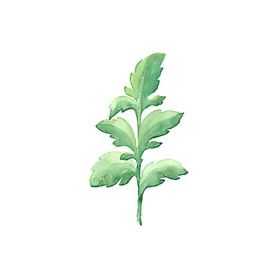 포토 JPG 해외이미지 나무 식물 디자인 배너 계절 실루엣 백그라운드 잎 꽃무늬 패턴 일러스트 자연 벽지 추상 수채화 미술 사람없음 그래픽 장식 초록색 물 여름 세트 페인트 봄 수확 흰색 나뭇가지 붓 신용카드 스케치 기적 허브 오브젝트 그림 유기농 질감 손그림 내추럴 고립 엘리먼트 해외202004 해외포토 자연요소 웰빙 꽃 컬러 무늬 농업 문화예술 촬영기법 금융 생태계 파일형식