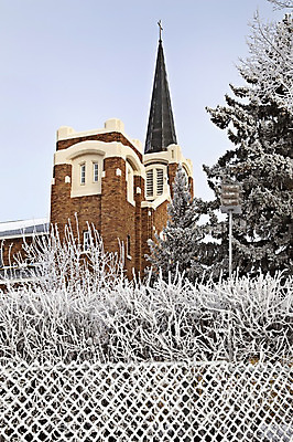 포토 JPG 해외이미지 나무 캐나다 자연 풍경 초원 사람없음 야외 평화 추위 백발 흰색 서리 장면 해외202004 해외포토 식물 헤어스타일 컬러 컨셉 북아메리카 생태계 파일형식