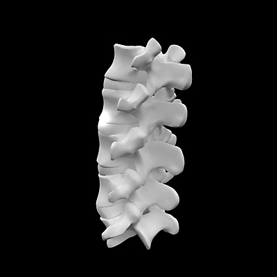 포토 JPG 해외이미지 모양 1 남자 과학 백그라운드 신체 일러스트 해부 뼈 골격 엑스레이 사람 사람없음 세로 파란색 약 3D 검은색 고통 투명 엉덩이 척추 관절염 생물학 골다공증 몸통 갈비뼈 고립 염증 요통 해외202004 해외포토 교육 감정 컬러 의학 신체부위 질병 디지털합성 허리통증 파일형식
