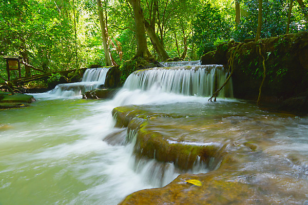 포토 JPG 해외이미지 나무 식물 계절 공원 여행 백그라운드 잎 모션 자연 이끼 풍경 사람없음 야외 목재 초록색 물 여름 빛 강 평화 환경 정원 침묵 봄 폭포 젖음 흐름 가을 바위 신선 개울 떨어짐 매끈함 숲 시원함 장면 내추럴 우크라이나 해외202004 해외포토 자연요소 공공시설 유럽 컬러 컨셉 재료 소리 돌_바위 감각 생태계 파일형식