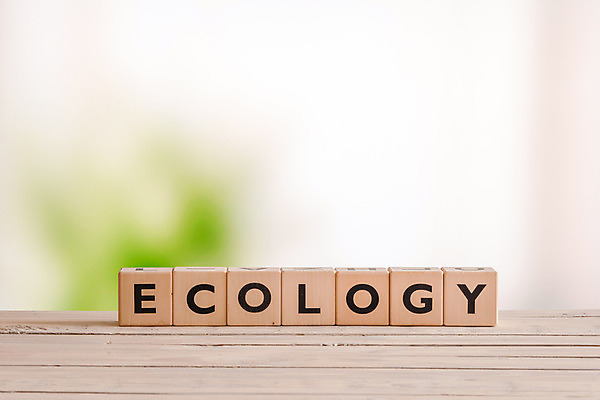 포토 JPG 해외이미지 나무 식물 디자인 종이 지구 음식 백그라운드 컨셉 비즈니스 텍스트 자연 탁자 사람없음 목재 초록색 단어 세계 지구본 우주 환경 블록 재활용 행성 에너지 성장 메시지 오염 보호 심볼 큐브 책상 사인 에코 생태계 내추럴 돌봄 바이오 생태학 표제 해외202004 우호적 해외포토 문자 교육 컬러 가구 재료 모션 친환경 파일형식