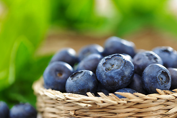 포토 JPG 해외이미지 열매 음식 잎 다이어트 과일 재료 자연 탁자 디저트 건강 사람없음 목재 파란색 주방 흰색 시골 신선 그룹 사발 달콤 맛 아침식사 상품 먹기 민트 유기농 블루베리 날것 블랙베리 흙더미 내추럴 숙성 월귤 채식주의자 맛있는 해외202004 해외포토 나무 식물 웰빙 컬러 가구 컨셉 모션 식사 흙 사기그릇 허브 생태계 채식 파일형식 더미