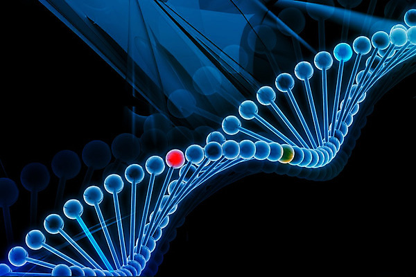 포토 JPG 해외이미지 과학 일러스트 자연 추상 세포 건강 현미경 사람 사람없음 약 3D 검은색 회색 진화 DNA 설탕 유기농 생물학 염색체 더블 복제 해외202004 해외포토 웰빙 교육 컬러 무늬 의학 실험기구 생명공학 소방 디지털합성 생태계 파일형식