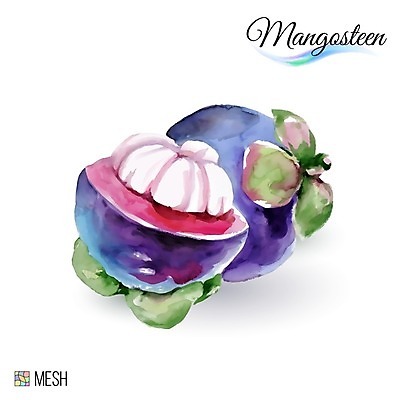 EPS 해외이미지 디자인 계절 음식 조각 백그라운드 과일 일러스트 재료 태국 자연 수채화 건강 미술 동양인 여름 식당 보라색 페인트 흰색 신선 달콤 맛 스케치 먹기 심볼 오브젝트 그림 유기농 질감 비타민 내추럴 고립 숙성 이국적 채식주의자 핸드메이드 비건 맛있는 해외202004 해외일러스트 웰빙 아시아 컬러 컨셉 모션 문화예술 인종 상점 생태계 채식 영양소 파일형식 벡터