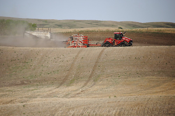 포토 JPG 해외이미지 산업 밭 농업 씨앗 풍경 사람없음 흙 장비 수확 시골 잡초 농부 낟알 밀 거름 밭일 카놀라 해외202004 해외포토 식물 직업 곡류 파일형식