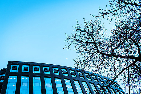포토 JPG 해외이미지 나무 외관 공원 백그라운드 컨셉 비즈니스 건축양식 창문 유리 하늘 성공 미래 거리 아파트 사람없음 야외 건물 금융 파란색 도시풍경 사무실 탑 고층빌딩 중국 도시 재산 도심 상업 지역 대도시 스카이라인 콘크리트 해외202004 해외포토 식물 건축물 공공시설 건축 아시아 컬러 재질 주택 풍경 빌딩 경제 파일형식