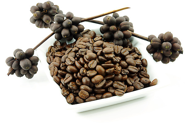 포토 JPG 해외이미지 커피 컨셉 휴식 콩 사람없음 목재 카페 원두 아침식사 굽기 에스프레소 내추럴 블랙커피 양조 옛날 카피스페이스 해외202004 해외포토 나무 음료 재료 곡류 상점 식사 공백 구이 파일형식