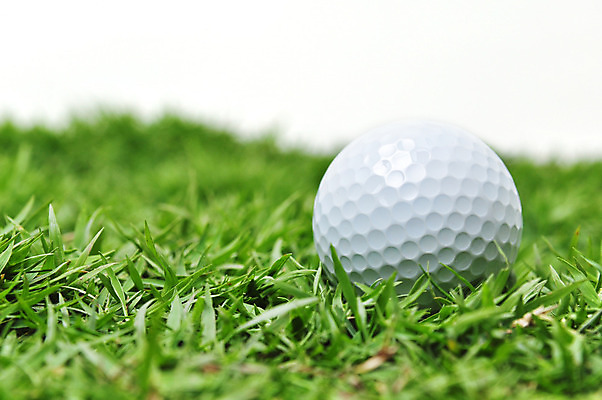 포토 JPG 해외이미지 스포츠 골프 공 골프장 골프공 사람없음 야외 초록색 한개 흰색 해외202004 해외포토 1 컬러 스포츠시설 골프용품 구기 파일형식