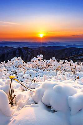 포토 JPG 해외이미지 구름 계절 아시아 겨울 자연 하늘 아침 휴가 산 서울 한국 풍경 사람없음 야외 태양 일출 일몰 추위 흰색 언덕 남쪽 웅장함 절정 눈내림 해외202004 해외포토 주간 자연요소 나라 컬러 눈_날씨 노을 방향 생태계 파일형식