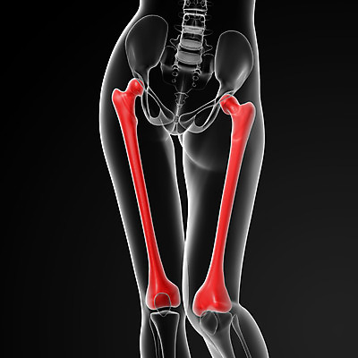 포토 JPG 해외이미지 여자 남자 신체 해부 뼈 골격 엑스레이 사람 사람없음 내부 고통 엉덩이 피부 척추 어깨 생물학 만들기 무릎 새장 팔 갈비뼈 궤 해골모형 해외202004 해외포토 교육 감정 의학 모션 신체부위 모형 케이지 파일형식