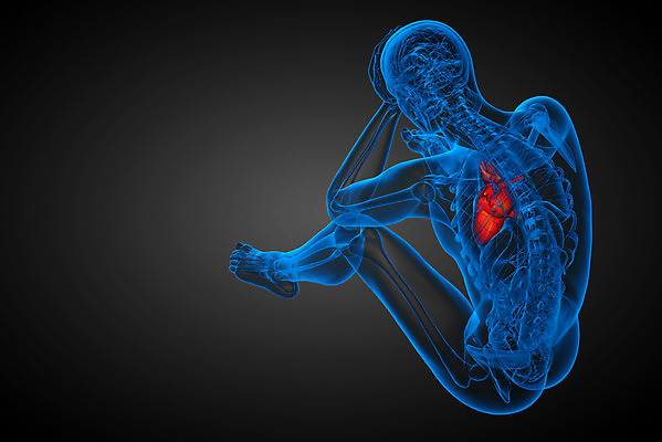 포토 JPG 해외이미지 해부 건강 사람 사람없음 3D 고통 환자 하트 맥박 시스템 외과 심장병 해외202004 해외포토 모양 감정 의학 병원 질병 디지털합성 파일형식