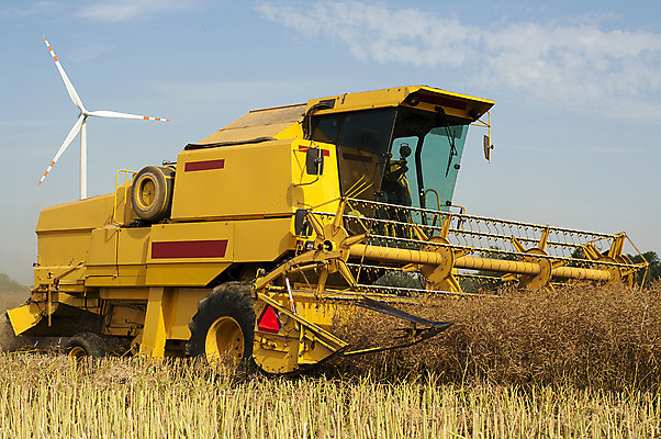 포토 JPG 해외이미지 산업 밭 농업 씨앗 풍경 초원 사람없음 야외 농작물 농장 농경지 수확 추수 가을 밀 트랙터 밀짚 밭일 호밀 해외202004 해외포토 식물 계절 곡류 짚 농기계 특수차량 파일형식
