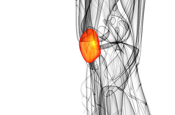 포토 JPG 해외이미지 해부 뼈 사람없음 고통 무릎 외과 양발 연골 증상 해외202004 해외포토 감정 의학 병원 신체부위 파일형식