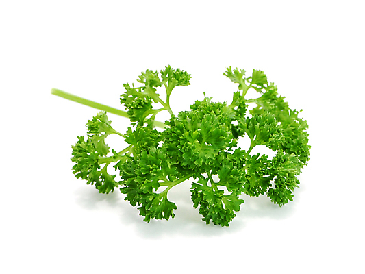 포토 JPG 해외이미지 식물 1 줄 음식 줄기 백그라운드 잎 채소 재료 파슬리 건강 사람없음 가로 초록색 흰색 나뭇가지 신선 고명 양념 맛 다발 묶기 먹기 허브 향신료 오브젝트 보따리 싱글 유기농 날것 슛 향 노끈 정맥 내추럴 고립 식용 채식주의자 비건 해외202004 해외포토 나무 웰빙 컬러 컨셉 모션 채식 혈관 향미료 파일형식