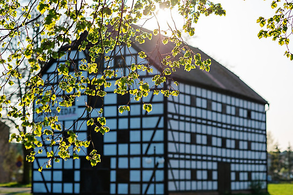 포토 JPG 해외이미지 디자인 벽 백그라운드 패턴 건축양식 하늘 추상 벽돌 거리 주택 프레임 독일 사람없음 야외 건물 빨간색 파란색 조각상 갈색 노란색 교회 탑 검은색 조약돌 흰색 도시 옥상 광택 폴란드 고딕 옛날 포메라니안 화창 해외202004 해외포토 건축물 건축 유럽 컬러 무늬 종교건축 날씨 조형물 돌_바위 개 파일형식