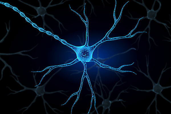포토 JPG 해외이미지 과학 컨셉 일러스트 해부 생물 세포 사람 사람없음 초록색 약 3D 불안 뇌 생물학 시스템 해외202004 해외포토 교육 감정 컬러 의학 디지털합성 파일형식