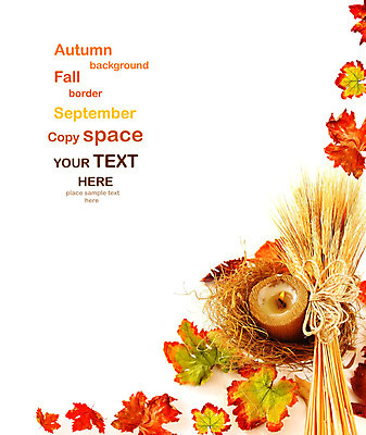 포토 JPG 해외이미지 식물 디자인 계절 백그라운드 컨셉 단풍 잎 오렌지 텍스트 자연 추상 휴가 불꽃 프레임 건조 사람없음 장식 빨간색 초록색 빛 노란색 우주 가을 흰색 축하 변화 황금 9월 11월 밀 추수감사절 10월 내추럴 고립 호밀 국경 해외202004 해외포토 기독교 컬러 무늬 과일 불 곡류 날짜 생태계 파일형식