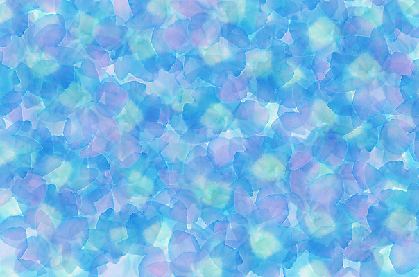 포토 JPG 해외이미지 템플릿 기념일 꽃 포스터 선 벽 백그라운드 컨셉 곡선 벽지 추상 사람없음 그래픽 장식 컬러풀 보라색 줄무늬 낭만 인사 신용카드 우아함 그림 질감 서식 초대 구성 엘리먼트 인기 스타일 해외202004 해외포토 식물 컬러 무늬 이벤트 금융 예절 파일형식