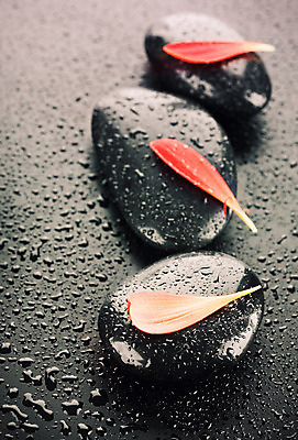 포토 JPG 해외이미지 꽃잎 꽃 백그라운드 컨셉 사람없음 빨간색 물 쌓기 검은색 스파 젖음 조약돌 물방울 마사지 해외202004 해외포토 자연요소 식물 컬러 모션 돌_바위 파일형식