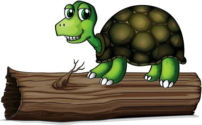 EPS 해외이미지 클립아트 동물 템플릿 1 디자인 백그라운드 일러스트 미술 서기 미소 목재 그래픽 초록색 반려동물 갈색 껍질 흰색 구멍 거북이 균형 그림 통나무 예술가 느림 고립 등딱지 수목 혼자 해외202004 해외일러스트 나무 컬러 재료 파충류 모션 문화예술 표정 파일형식 벡터