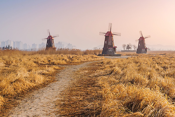 포토 JPG 해외이미지 계절 여행 백그라운드 밭 농업 자연 벽지 하늘 바람 서울 한국 풍경 사람없음 야외 목재 초록색 여름 파란색 컬러풀 농장 맑음 봄 풍차 에너지 흰색 시골 신선 땅 장면 방앗간 에스토니아 옛날 해외202004 해외포토 자연요소 나무 유럽 산업 아시아 컬러 재료 날씨 생태계 파일형식