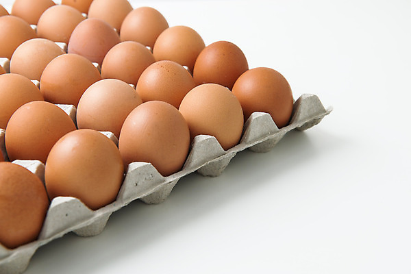 포토 JPG 해외이미지 동물 라이프스타일 음식 재료 자연 조류 부활절 사람없음 상자 농장 갈색 계란 신선 군중 유기농 일렬 패키지 건강식 단백질 암탉 해외202004 해외포토 웰빙 기념일 컬러 농업 사람 생활 알 닭 암컷 생태계 영양소 파일형식