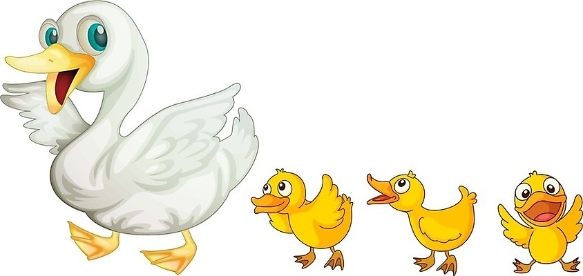 EPS 해외이미지 동물 캐릭터 클리핑패스 백그라운드 컨셉 날개 일러스트 발 조류 엄마 안내 오리 농장 노란색 걷기 흰색 아기 만화 깃털 오브젝트 흰배경 리더 부리 솜털 물갈퀴 고립 엘리먼트 카피스페이스 선두 해외202004 해외일러스트 일러캐릭터 컬러 농업 가족 모션 사람 신체부위 공백 파일형식 벡터