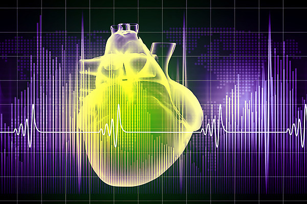 포토 JPG 해외이미지 과학 해부 그래프 스트레스 건강 병원 사람 사람없음 내부 그래픽 약 3D 디지털 스크린 시험 흐름 하트 심장 혈액 오르간 맥박 질병 속도 생물학 순환 감시 외과 돌봄 심장병 심전도 가상 해외202004 해외포토 모양 교육 컨셉 의학 모션 장기_의학 건반악기 디지털합성 파일형식