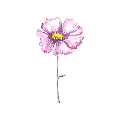 포토 JPG 해외이미지 식물 디자인 배너 계절 꽃잎 꽃 분홍색 꽃다발 결혼 백그라운드 잎 꽃무늬 패턴 일러스트 자연 벽지 수채화 미술 사람없음 그래픽 초록색 여름 세트 보라색 봄 수확 흰색 나뭇가지 인사 붓 신용카드 생일 인쇄 그림 질감 초대 손그림 내추럴 고립 엘리먼트 스타일 해외202004 해외포토 나무 기념일 컬러 무늬 농업 문화예술 이벤트 금융 예절 생태계 파일형식