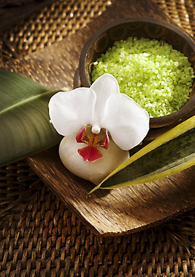 포토 JPG 해외이미지 라이프스타일 웰빙 꽃 바다 신체 자연 휴식 새로움 건강 사람없음 목재 치료 가로 초록색 수건 갈색 상점 스파 목욕 화장품 흰색 대접 마사지 난초 고급 닫기 씻기 소중 피부 피부관리 유기농 향기 소금 테라피 내추럴 돌봄 신청 해외202004 해외포토 나무 식물 컬러 컨셉 재료 의학 모션 생활 신체부위 위생용품 뷰티 청결 생태계 냄새 파일형식