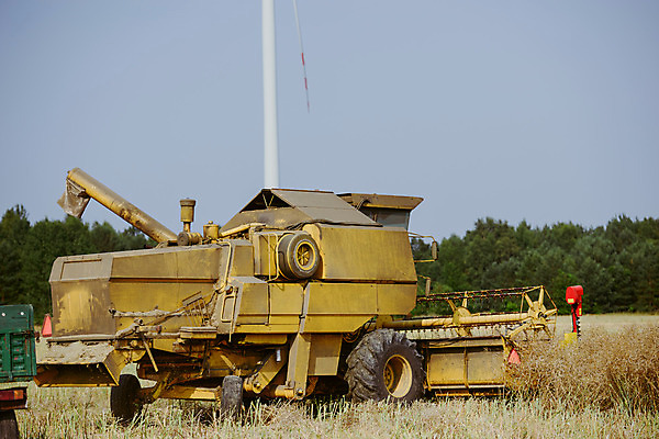 포토 JPG 해외이미지 밭 농업 자연 씨앗 사람없음 야외 농작물 농장 수확 추수 가을 밀 밀짚 밭일 해외202004 해외포토 식물 계절 산업 곡류 짚 생태계 파일형식