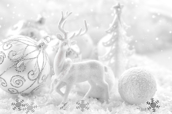 포토 JPG 해외이미지 전통 디자인 계절 행복 별 백그라운드 크리스마스 겨울 공 사슴 새로움 기념 선물 사람없음 장식 빛 축제 장식볼 흰색 축하 원형 눈송이 은색 12월 해외202004 해외포토 자연요소 도형 기념일 감정 컬러 컨셉 포유류 눈_날씨 날짜 파일형식