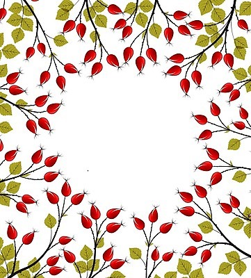 EPS 해외이미지 식물 열매 꽃 백그라운드 잎 과일 일러스트 재료 프레임 건강 사람없음 약 장미 활발 개 약초 엉덩이 허브 오브젝트 꽃프레임 숙성 프레임일러스트 해외202004 해외일러스트 컨셉 포유류 의학 신체부위 풀_식물 파일형식 벡터