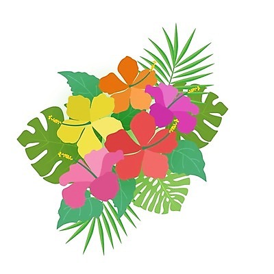 EPS 해외이미지 식물 디자인 꽃 꽃다발 여행 결혼 백그라운드 잎 꽃무늬 패턴 일러스트 자연 벽지 휴가 발렌타인데이 손바닥 미술 그래픽 장식 초록색 파티 유행 정원 봄 벚꽃 흰색 신용카드 그림 하와이 초대 내추럴 고립 이국적 파라다이스 히비스커스 알로하 해외202004 해외일러스트 손 계절 컬러 무늬 데이이벤트 문화예술 이벤트 금융 미국 인사 생태계 파일형식 벡터