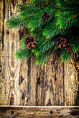 포토 JPG 해외이미지 나무 디자인 배너 계절 백그라운드 크리스마스 겨울 패턴 자연 벽지 표면 날씨 휴가 새로움 프레임 사람없음 목재 장식 초록색 우주 공백 수확 골동품 나뭇가지 시골 인사 신용카드 널 12월 연도 질감 복고 전나무 비네팅 내추럴 그런지 노엘 수목 옛날 가문비나무 국경 해외202004 해외포토 식물 기념일 컬러 컨셉 무늬 농업 재료 촬영기법 금융 예절 날짜 생태계 파일형식