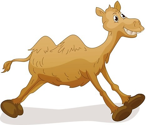 EPS 해외이미지 동물 캐릭터 백그라운드 2 일러스트 포유류 모션 털 서기 미소 그래픽 달리기 점프 사막 흰색 표현 큼 만화 오브젝트 낙타 혹 고립 바보 벙어리 엘리먼트 이국적 해외202004 해외일러스트 일러캐릭터 컬러 표정 크기 파일형식 벡터