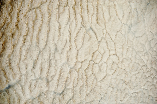 포토 JPG 해외이미지 물결 음료 파도 바다 백그라운드 이동 패턴 모션 자연 표면 날씨 추상 사람없음 야외 물 파란색 수중 힘 목욕 거품 젖음 추위 흰색 신선 거친 액체 떨어짐 빨래 매끈함 시원함 속도 질감 부드러움 비누 샴푸 내추럴 깊이 볼록 샤워실 해외202004 해외포토 자연요소 컬러 컨셉 가사 무늬 위생용품 청결 감각 생태계 샤워시설 파일형식