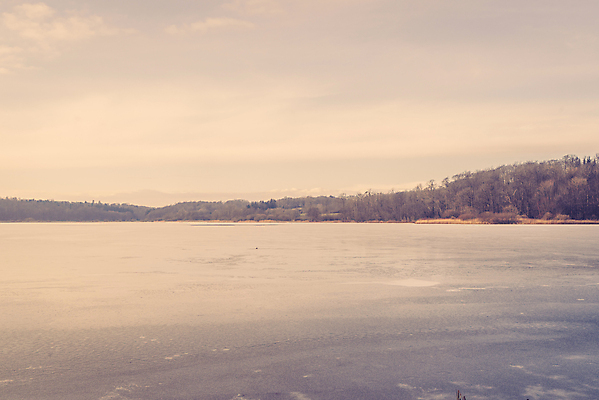 포토 JPG 해외이미지 나무 계절 호수 백그라운드 겨울 자연 아침 날씨 휴가 덴마크 풍경 사람없음 야외 물 파란색 강 반사 일출 냉동 얼음 침묵 추위 흰색 나뭇가지 신선 숲 12월 서리 장면 온도 1월 내추럴 스칸디나비아 해외202004 해외포토 주간 자연요소 식물 컬러 북유럽 노을 소리 날짜 생태계 파일형식