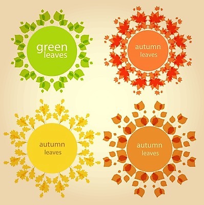 EPS 해외이미지 나무 식물 디자인 계절 백그라운드 컨셉 단풍 잎 패턴 오렌지 일러스트 자연 프레임 미술 야외 그래픽 장식 빨간색 초록색 세트 컬러풀 갈색 노란색 라벨 세일 환경 활발 가을 원형 화려 황금 9월 심볼 복고 내추럴 고립 엘리먼트 국경 해외202004 해외일러스트 도형 컬러 무늬 과일 문화예술 날짜 생태계 파일형식 벡터