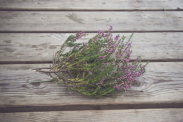 포토 JPG 해외이미지 식물 전통 계절 꽃 분홍색 꽃다발 백그라운드 잎 자연 탁자 선물 사람없음 목재 장식 초록색 여름 정원 보라색 수확 벚꽃 가을 흰색 시골 축하 거친 널 허브 제비꽃 복고 장면 내추럴 구성 세련 해외202004 해외포토 나무 컬러 가구 컨셉 농업 재료 생태계 파일형식