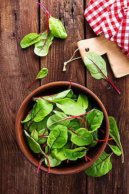 포토 JPG 해외이미지 식물 음식 줄기 백그라운드 잎 다이어트 채소 재료 탁자 건강 요리 사람없음 목재 빨간색 초록색 컬러풀 주방 보라색 식사 샐러드 시골 신선 사발 시장 먹기 스위스 유기농 날것 비타민 내추럴 루비 비트 생식 채식주의자 비건 해외202004 해외포토 나무 웰빙 유럽 컬러 가구 모션 사기그릇 보석 채식 영양소 파일형식