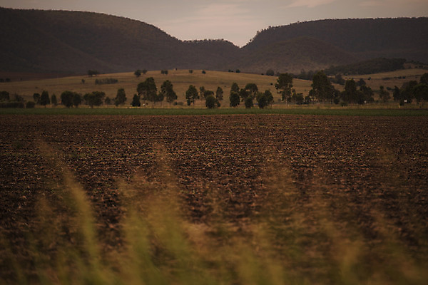 포토 JPG 해외이미지 백그라운드 밭 농업 자연 하늘 풍경 초원 사람없음 야외 여름 우주 환경 시골 황무지 고독 내추럴 벌거벗은 생태학 해외202004 해외포토 계절 교육 감정 산업 생태계 파일형식