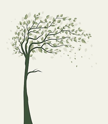EPS 해외이미지 나무 식물 디자인 계절 실루엣 줄기 백그라운드 컨셉 잎 일러스트 자연 미술 풍경 목재 그래픽 장식 여름 환경 정원 봄 흰색 나뭇가지 우아함 숲 심볼 사인 그림 유기농 초대 공상 내추럴 고립 생태학 엘리먼트 국경 해외202004 해외일러스트 웰빙 교육 컬러 재료 문화예술 촬영기법 생태계 파일형식 벡터