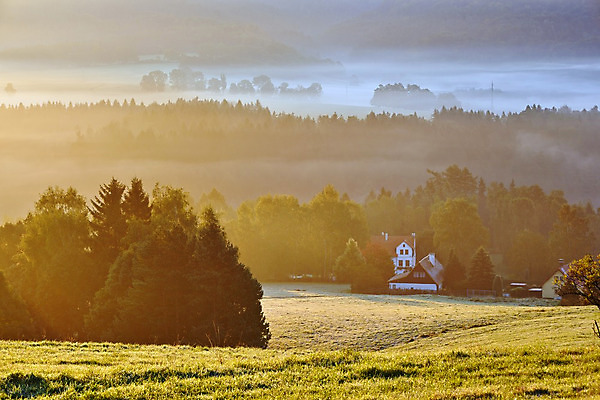 포토 JPG 해외이미지 나무 식물 구름 계절 공원 여행 백그라운드 밭 자연 하늘 아침 날씨 산 풍경 초원 사람없음 야외 초록색 물 여름 파란색 빛 햇빛 태양 일출 환경 침묵 황혼 일몰 봄 새벽 안개 가을 시골 숲 땅 언덕 내추럴 뿌연 해외202004 해외포토 주간 자연요소 공공시설 컬러 농업 노을 소리 생태계 파일형식