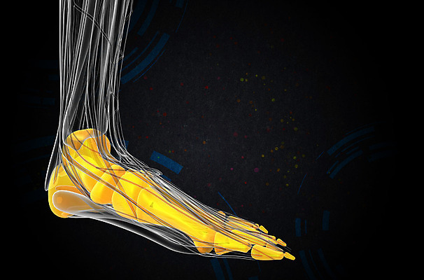포토 JPG 해외이미지 해부 뼈 골격 건강 사람 사람없음 3D 회색 발가락 발목 양발 해외202004 해외포토 컬러 의학 발 디지털합성 파일형식